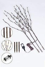 Load image into Gallery viewer, Vanthylit Lighted 3PK Twig Branches with 33Inches 90LED Pip Berry Branches Lights Waterproof Adapter Brown Willow Branch Lights for Outdoor and Indoor Decor