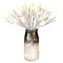 Load image into Gallery viewer, Vanthylit Spring Lights,Starburst Starry Lights LED Starburst Light 90 LED Decorative Copper Wire Lights for Christmas Bedroom Indoor Outdoor