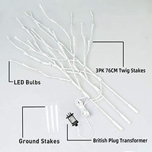 Load image into Gallery viewer, EAMBRITE Home Decorative Twig Lights Lighted White Birch Twig Branches Pathway Stakes with 60 LED White Lights Waterproof Plug in for Outdoor and Indoor Decor (3PK, 76cm)