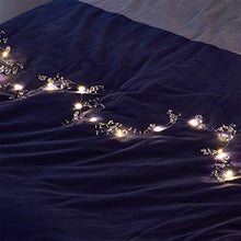 Load image into Gallery viewer, PEIDUO 6FT Jewel Artificial Garland with 18 Warm White Lights Battery Operated with Timer Hanging Vines for Holiday Indoor Bedroom Wall Decoration Padoo Berry Garland