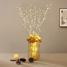 Load image into Gallery viewer, Vanthylit Lighted Twig Branch Stakes 34” 3PK Silver Metal Branch Lights with 114LT Warm White Spring Decor for Home Holiday Christmas Floor Vase Tabletop Decoration Indoor and Outdoor Use