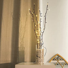 Load image into Gallery viewer, Vanthylit Twig Lights 30 Inch Lighted Natural Willow Twig Branches Battery Operated Floor Vase Decorative Tree Branches with 48 LED Warm White Lights for Indoor Decoration