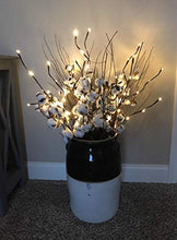 Load image into Gallery viewer, EAMBRITE 3PK 76cm Home Decorative Twig Lights Garden Stake Branch Lights with 60 Warm White LEDs Mains Powered Lighted Branches for Spring Decor Outdoor and Indoor