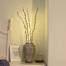 Load image into Gallery viewer, PEIDUO Lighted Willow Branch Battery Powered 30Inch 4PK 48L Warm White LED for Christmas Room Decoration Indoor Apartment