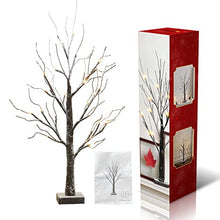 Load image into Gallery viewer, EAMBRITE Battery-Operated 24" Snow Bonsai Tree Lights with 24 Warm White LED for Indoor use Tabletop Tree Light for Home Decor