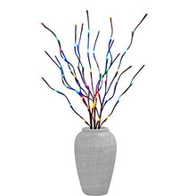 Load image into Gallery viewer, PEIDUO Electric Lighted Willow Branch Plug 30Inch 3PK 60L LED Pathway Lights for Christmas Room Decoration Indoor Apartment Outdoor Stake Lights for Lawn