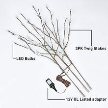 Load image into Gallery viewer, EAMBRITE Brown Twig Branches with Acrylic Leaves 30IN 60LT Outdoor Garden Stake Lights with Warm White LED Plug in for Walkway Patio Yard Garden Lawn Decoration Indoor and Outdoor Use (Vase Excluded)