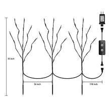 Load image into Gallery viewer, Vanthylit Lighted Twig Willow Branches with Dimmer 30” Brown Branches with 60LT Warm White Light for Home Holiday Christmas Decoration Indoor and Outdoor Use