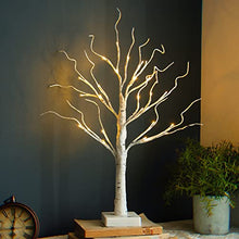 Load image into Gallery viewer, Vanthylit Easter Decorations, LED Easter Tree Lights with Timer, Lighted Birch Tree with Eggs Battery Powered, 2FT Easter Centerpiece Decoration Tabletop Tree Light, Easter Decorations for The Home