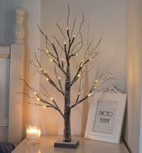 Load image into Gallery viewer, PEIDUO 2FT Snow Dusted Tree Lights with 24LT Warm White LED Battery Operated Bonsai Tree for Home Office Daily Christmas Halloween Indoor Decorations