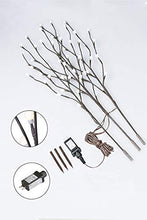 Load image into Gallery viewer, Vanthylit Lighted 30'' 3PK Twig Branches with Frosted Ball 60LED Pathway Lights Waterproof Adapter Brown Willow Branch Lights for Outdoor and Indoor Decor