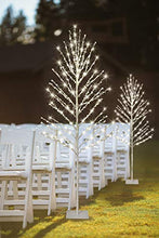 Load image into Gallery viewer, EAMBRITE 6FT White Tree with 200 Beads Crystal Fortune Money Tree for Good Luck Decor Home Office Spiritual Gift