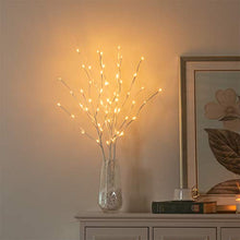 Load image into Gallery viewer, Vanthylit 3PK Twig Lights 76cm Decorative LED Twigs with 60 Warm White LEDs Waterproof Pathway Branch Lights Mains Powered for Indoor Outdoor Christmas Decoration