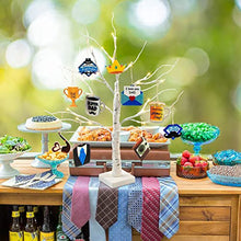 Load image into Gallery viewer, Vanthylit Fathers Day Table Decorations, Lighted Birch Tree with Happy Father's Day Wooden Signs, Centerpieces for Fathers Day Party Decor, Fathers Gifts from Daughter (2FT,10 Hanging Ornaments)
