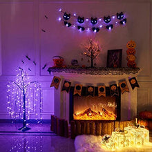 Load image into Gallery viewer, Eambrite Halloween Lights Halloween Fairy Lights Banners Black Cat and Black Bat Battery Operated Halloween Indoor Decorations LEDs String Lights with Timer (5FT, Pack of 2)