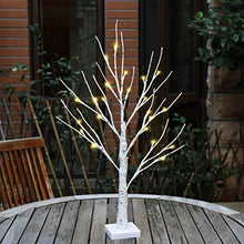 Load image into Gallery viewer, EAMBRITE White Christmas Tree with Lights Mini Birch Twig Tree Ornament with 24 Warm White LEDs Battery Operated Tabletop Decoration for Christmas Home Party Wedding (60cm/2ft)