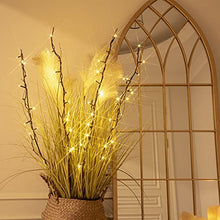 Load image into Gallery viewer, EAMBRITE 30" 48LT Brown Branch Lighted Willow Branch Battery Powered for Home Bedroom Decor
