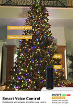 Load image into Gallery viewer, EAMBRITE Smart App Globe String Lights with 100 RGB Led 32.8feet Voice Controlled Work with Alexa, Google Assistant