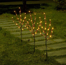 Load image into Gallery viewer, Vanthylit Lighted 76cm 3PK Decorative Twigs Branches Pathway Lights with 60LED Beads Branch Lights Waterproof Mains Powered Twig Lights for Indoor Outdoor Christmas Decoration