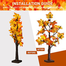 Load image into Gallery viewer, EAMBRITE Fall Tree 24 Inch Maple Tree with 24 LED Timer Battery Operated Autumn Tabletop Tree for Fall Thanksgiving Harvest Wedding Home Halloween Decorations