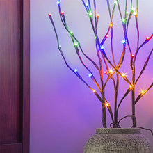 Load image into Gallery viewer, PEIDUO Electric Lighted Willow Branch Plug 30Inch 3PK 60L LED Pathway Lights for Christmas Room Decoration Indoor Apartment Outdoor Stake Lights for Lawn