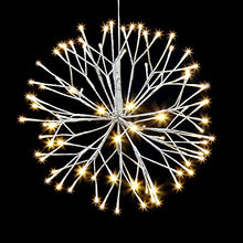 Load image into Gallery viewer, EAMBRITE 16 Inch Led White Birch Wrapped Lighted Twig Stake Starburst with 90LT Warm White LED bulbs for outdoor and indoor use