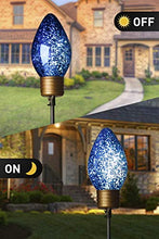 Load image into Gallery viewer, Vanthylit Outdoor Christmas Decoration 4PK Multi-Colour C-Bulb Pathway Lights with 40 LEDs Mains Powered Stake Lights for Patio Yards Driveways Pathways (2ft)