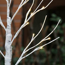 Load image into Gallery viewer, EAMBRITE Tabletop Tree Christmas Decorations, Mini Birch Tree with Lights, 24 LED Lighted Money Tree White Twig Tree Battery Operated with Timer, Home Centerpiece, Indoor Decor(2FT/Warm White)