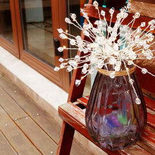 Load image into Gallery viewer, EAMBRITE Battery Operated 8" Copper Wire String Lights LED Hanging Starburst Light with 36 led Warm White Bulbs and Transparent Beads Decoration for Home Party