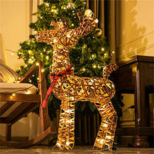 Load image into Gallery viewer, Eambrite Christmas Rattan Reindeer Light up Christmas Decorations Indoor Battery Operated LED Deer Lights Waterproof for Outdoor Yard Garden and home Decor - 2ft / 60cm, Warm White