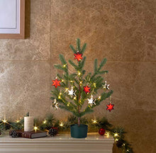 Load image into Gallery viewer, EAMBRITE Artificial Winter Pine Tree 36 LED 18IN Battery Operated with Timer for Christmas Tree Decoration Indoor Use