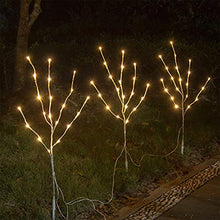 Load image into Gallery viewer, EAMBRITE Wohnung dekorative Zweig Lichter beleuchtet weiße Birke Zweige Weg Pfähle mit 60 LED Lichter Außen-Innen Wohnug deko für Weihnachten Ostern Deko Halloween Fest