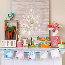 Load image into Gallery viewer, DELICHTER Lichterbaum mit Ostern deko, Birke Baum mit 24 Warmweiß LEDs, Batteriebetrieben, Lichterdekozweige für Frühling Zuhause Party Geburtstag Hochzeit Innendeko Kinder (60 cm/24 LEDs)
