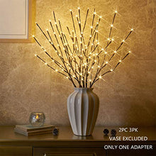 Load image into Gallery viewer, Vanthylit Set of 2 3PK 30" Brown Lighted Twig Stakes 120 Warm White Pathway Light for Outdoor and Indoor (Vase Excluded)