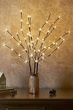 Load image into Gallery viewer, EAMBRITE 3PK 76cm Home Decorative Twig Lights Garden Stake Branch Lights with 60 Warm White LEDs Mains Powered Lighted Branches for Spring Decor Outdoor and Indoor