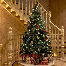 Load image into Gallery viewer, EAMBRITE 100LT C6 Christmas String Lights120V UL Certified for Patio Christmas Tree Garden Yard Indoor and Outdoor, Green Wire