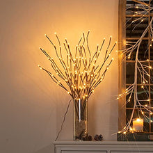 Load image into Gallery viewer, Vanthylit Set of 2 3PK 30" Brown Lighted Twig Stakes 120 Warm White Pathway Light for Outdoor and Indoor (Vase Excluded)
