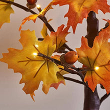 Load image into Gallery viewer, EAMBRITE 60cm Leuchtbaum Innen Ahorn Lichtlampe Schreibtischbaum Dekorativ 24 LED Lichterbaum Warm Weiss Weihnachten Dekobaum fĂŒr Zuhause, Party, Geburtstag, Hochzeit