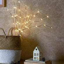 Load image into Gallery viewer, EAMBRITE 2PK 75cm Christmas Decorative Twig Lights Snow Frosted Garden Stake Lights with 50 Warm White LEDs Battery Powered Lighted Branches for Indoor and Outdoor Use