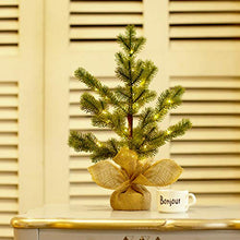 Load image into Gallery viewer, EAMBRITE LED Pine Needle Tree Light – 1.5FT Realistic Mini Christmas Tree – Pre-lit Pine Needle Tree with 36lt Warm White Fairy Lights – Lighted Artificial Tree with 12 Branches