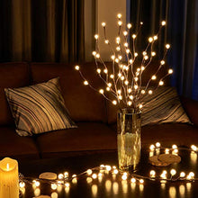 Load image into Gallery viewer, EAMBRITE Lighted Frosted Ball Twig Branches 30IN 60LT Lighted Willow Branch with Warm White LED Plug in for Home Party Wedding Holiday Decoration Indoor Outdoor Use(Vase Excluded)
