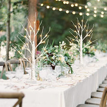 Load image into Gallery viewer, KELANCHY Lighted Birch Tree Battery Operated, Set of 2 Lighted Birch Tree with Timer for Easter Decorations, Artificial Tree with Lights Money Tree Centerpiece for Table ( Warm White )