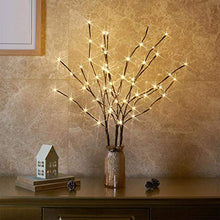 Load image into Gallery viewer, Vanthylit 3PK 30" Brown Lighted Twig Branches Pathway Light 60 LED Warm White Bulbs for Outdoor and Indoor