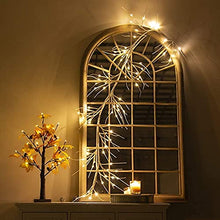 Load image into Gallery viewer, EAMBRITE Christmas Decorations 1.8m White Garland with 48 Warm White Lights Waterproof Pre-Lit Vine Twig Plug in for Indoor Outdoor Home Garden Party Decoration