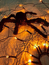 Load image into Gallery viewer, EAMBRITE Halloween Spider Web Lights with Plush Spider Spooky Indoor Decorations Light up Fake Spiderweb Decor Prop for Window Kids Party Haunted House (3FT/100CM)
