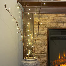 Load image into Gallery viewer, PEIDUO Lighted Willow Branch Battery Powered 30Inch 4PK 48L Warm White LED for Christmas Room Decoration Indoor Apartment