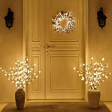 Load image into Gallery viewer, EAMBRITE 30IN 60LT Lighted Brown Twig Branches with Outdoor Stakes Plug in Powered for Garden Patio Backyard Indoor and Outdoor Decoration (Vase Excluded)