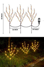 Load image into Gallery viewer, EAMBRITE Natural Twig Branches with Amber Beads 30IN 60LT Lighted Willow Branch Plug in for Home Party Wedding Holiday Decoration Indoor Outdoor Use(Vase Excluded)