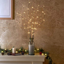 Load image into Gallery viewer, EAMBRITE 2PK 75cm Christmas Decorative Twig Lights Snow Frosted Garden Stake Lights with 50 Warm White LEDs Battery Powered Lighted Branches for Indoor and Outdoor Use