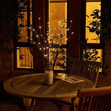 Load image into Gallery viewer, EAMBRITE 2PK 75cm Christmas Decorative Twig Lights Snow Frosted Garden Stake Lights with 50 Warm White LEDs Battery Powered Lighted Branches for Indoor and Outdoor Use